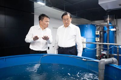 王忠林調研民營企業(yè)發(fā)展并召開座談會 深化技術推廣服務，激發(fā)民營經濟新動能