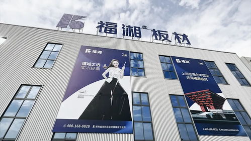 創(chuàng)新齊聚力 同心向未來丨福湘北方臨沂客戶服務中心成立暨新產品發(fā)布會圓滿成功